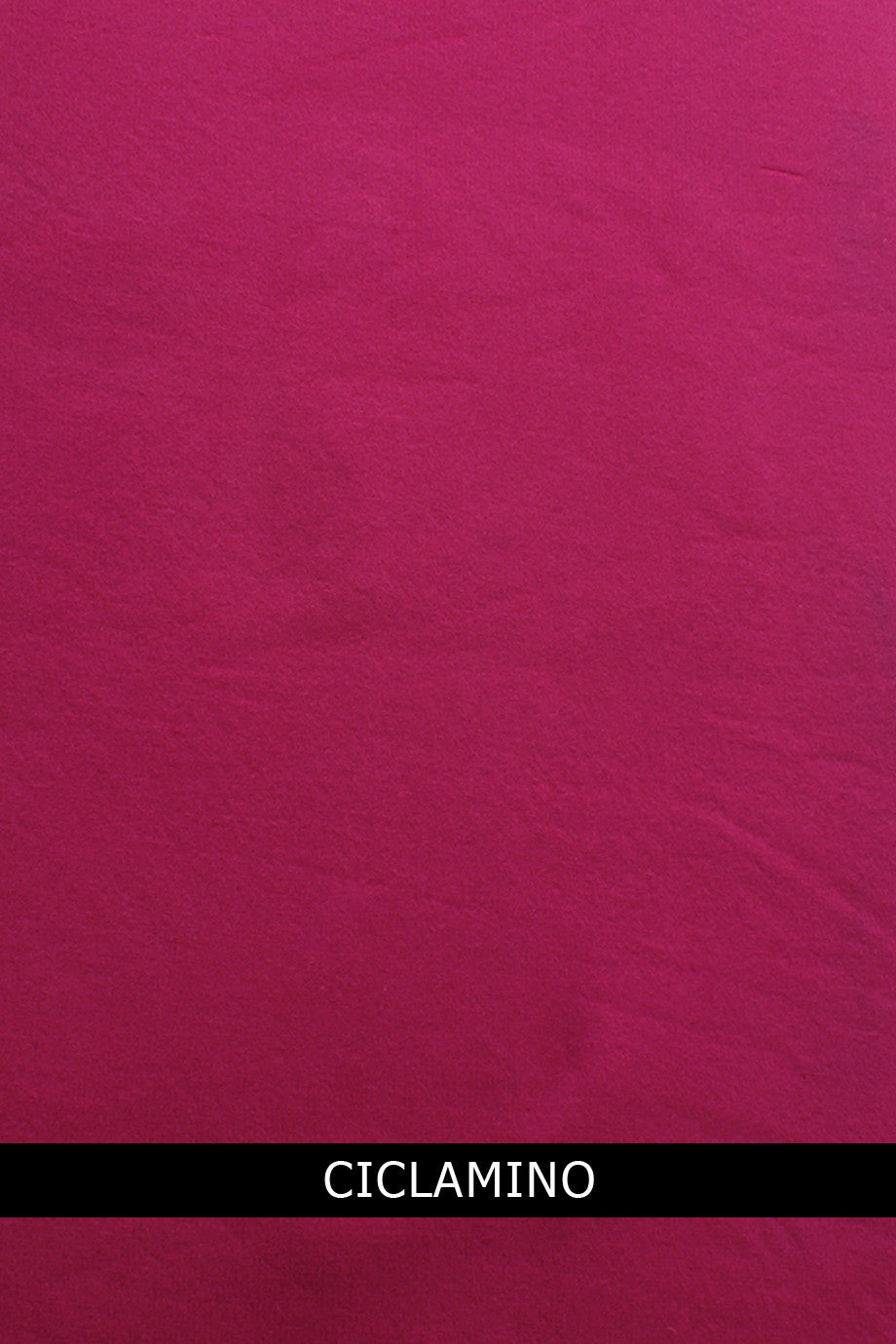 Φούξια Κολάν | Κολάν - TRASPARENZE